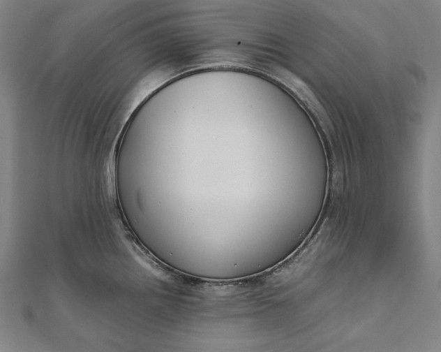 X0000112171242200908211419