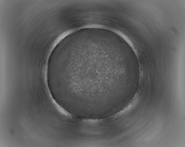 X0000112171245200908211419