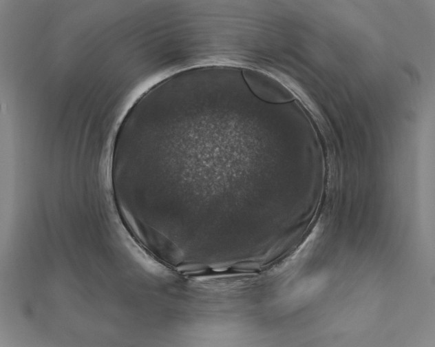 X0000112171246200908211419