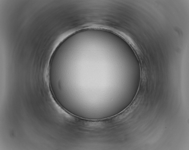 X0000112171247200908211419