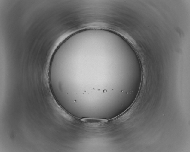 X0000112171248200908211419