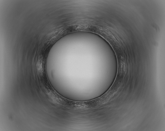 X0000112171250200908211418