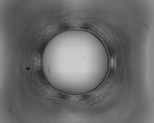 X0000112171251200908211418