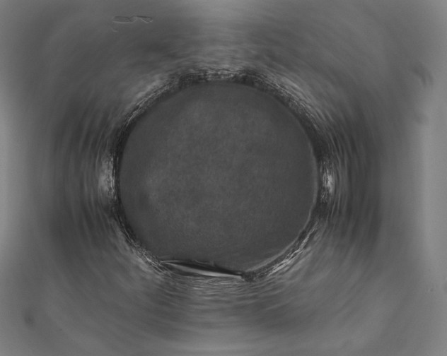 X0000112171252200908211418