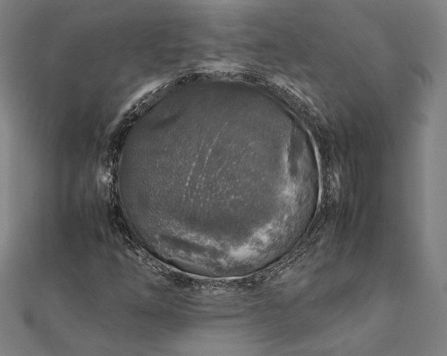 X0000112171254200908211418