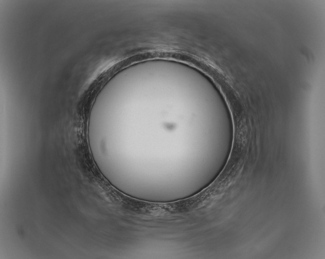 X0000112171255200908211418