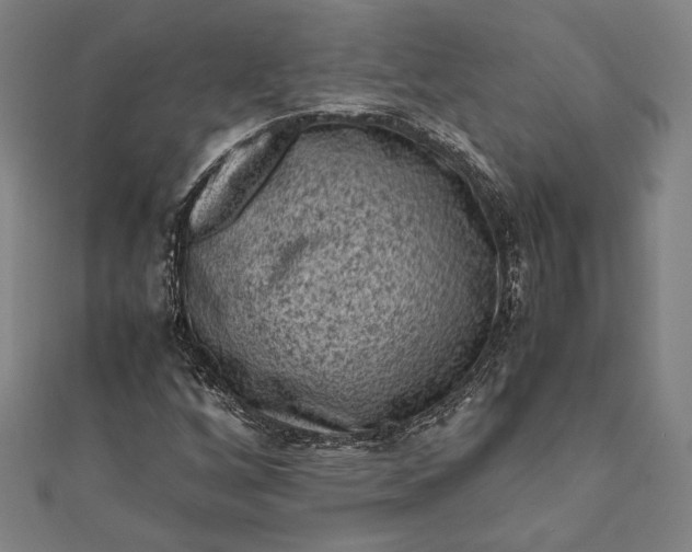 X0000112171256200908211418