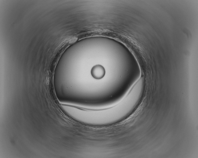 X0000112171257200908211418