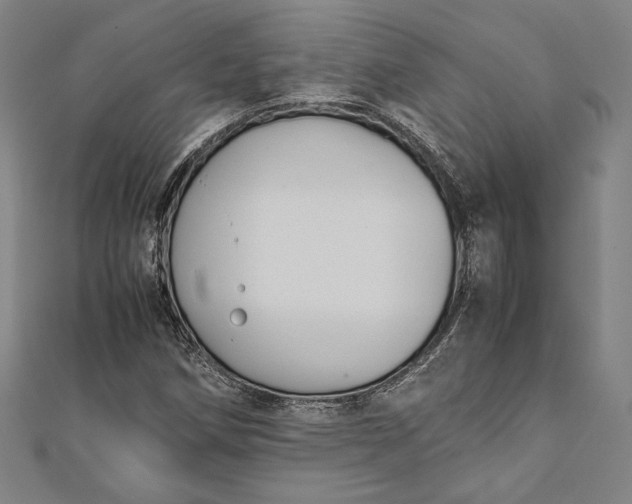 X0000112171258200908211418