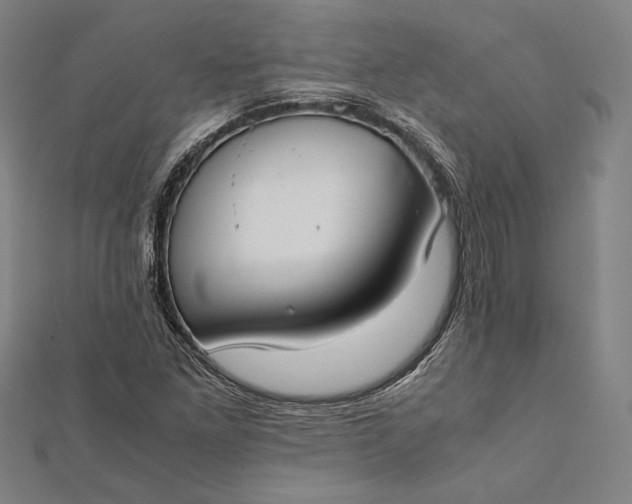 X0000112171261200908211418