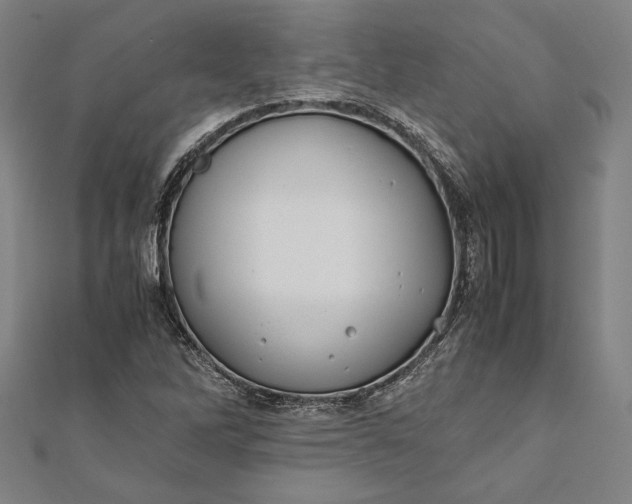 X0000112171262200908211418