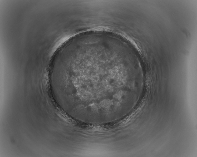 X0000112171263200908211418