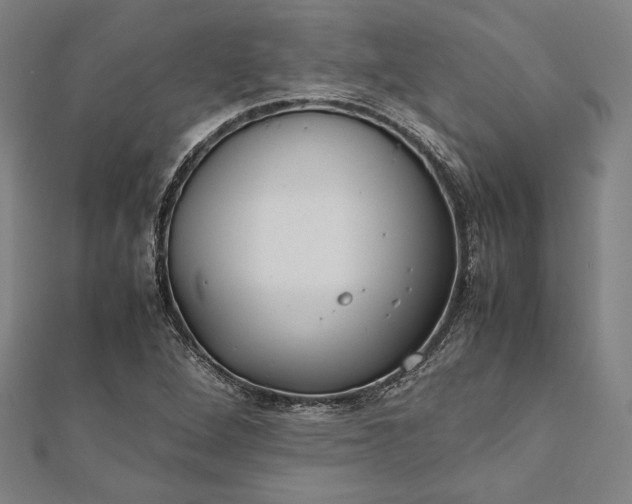 X0000112171264200908211418