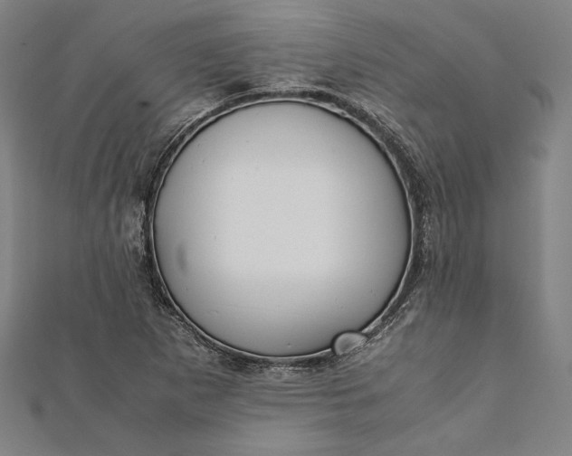 X0000112171265200908211418