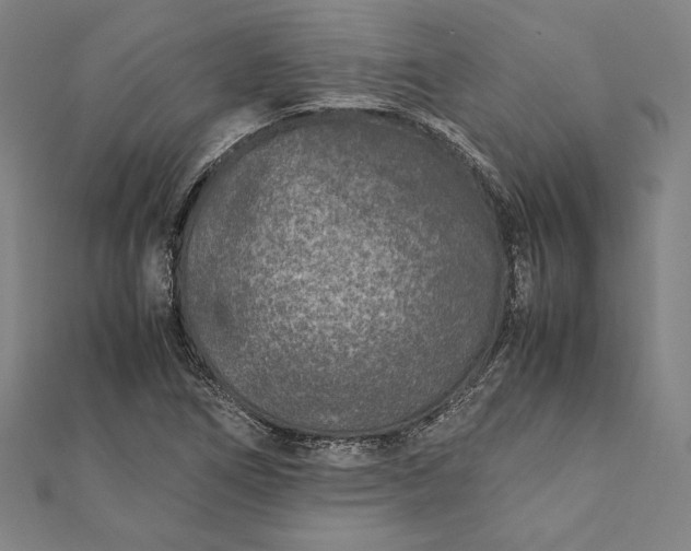 X0000112171266200908211418