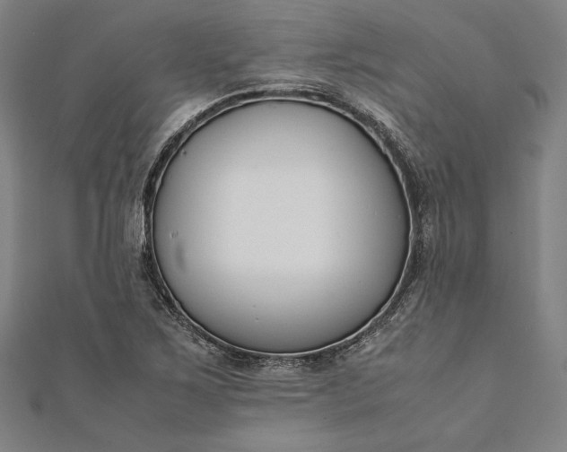 X0000112171267200908211418