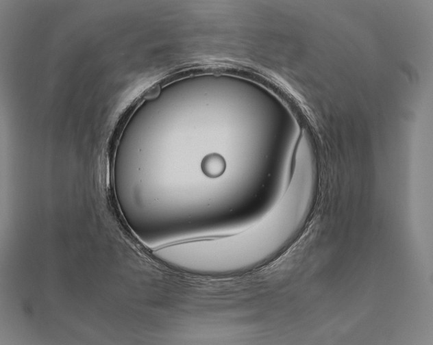 X0000112171269200908211418