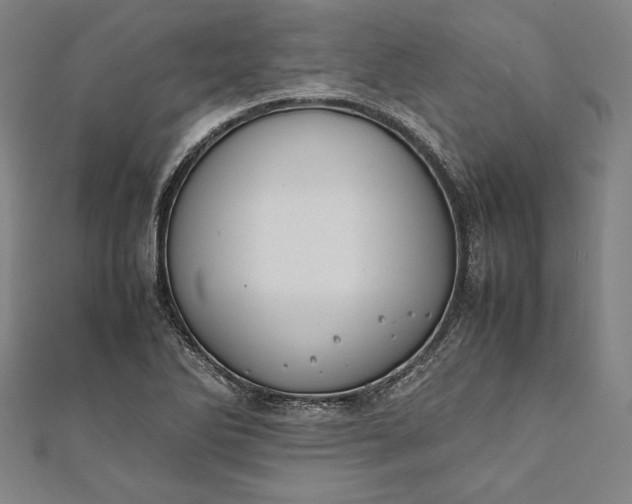 X0000112171270200908211418