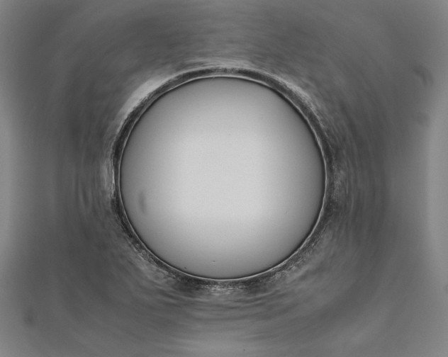 X0000112171271200908211418