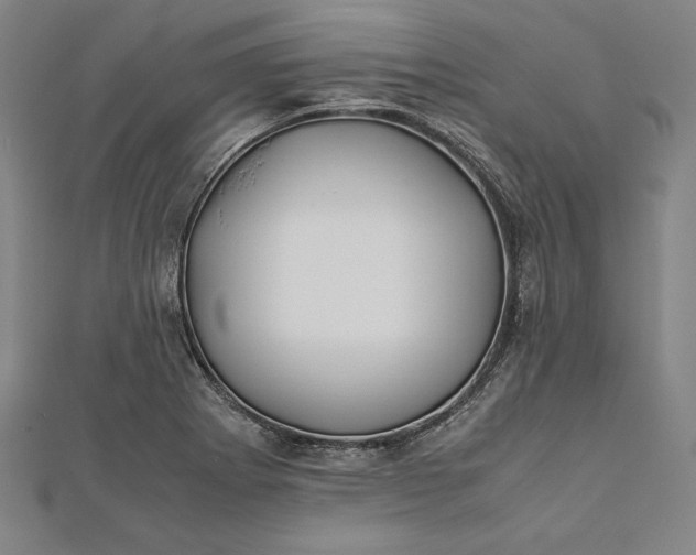 X0000112171273200908211418