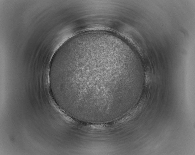 X0000112171274200908211418