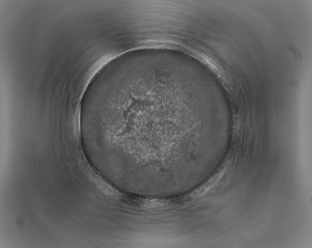 X0000112171275200908211418