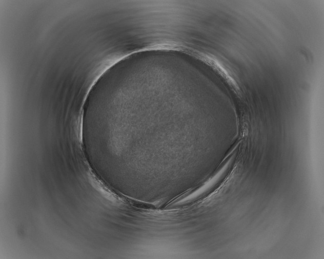 X0000112171276200908211418