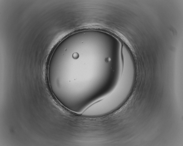 X0000112171277200908211418