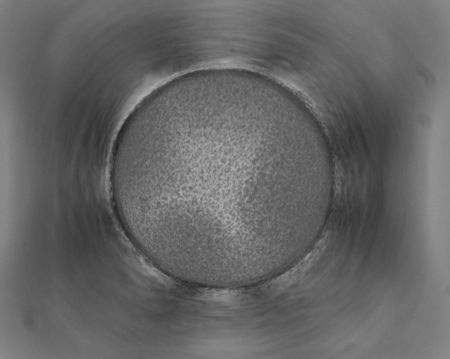 X0000112171278200908211418