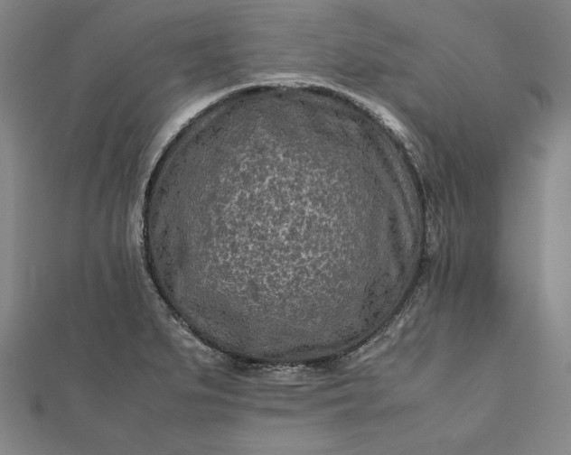 X0000112171279200908211418