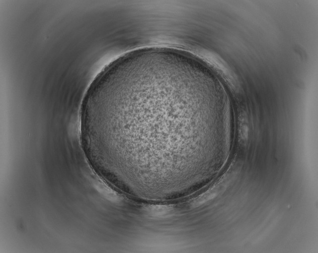 X0000112171280200908211418