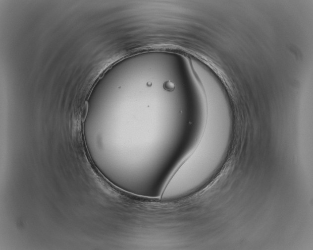 X0000112171281200908211418