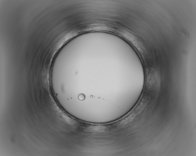 X0000112171282200908211418