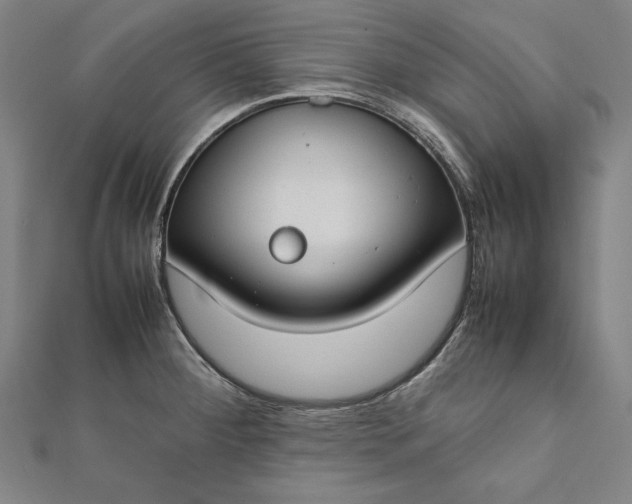 X0000112171284200908211418