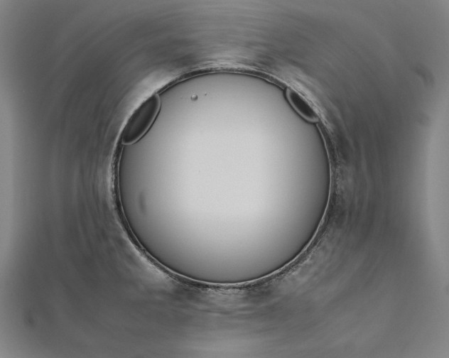 X0000112171285200908211418