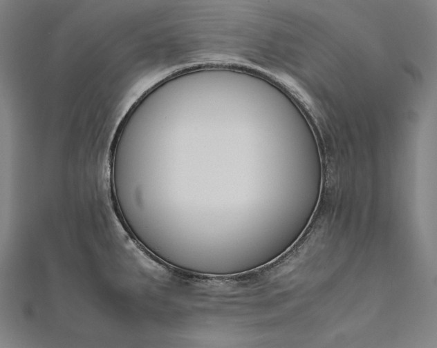 X0000112171287200908211418