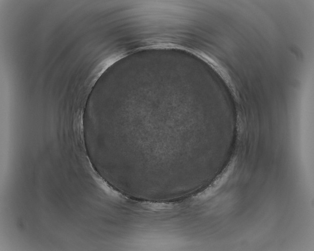 X0000112171289200908211418