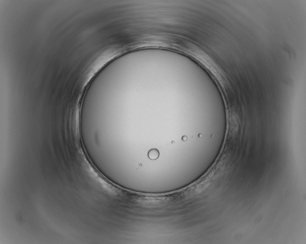 X0000112171290200908211418