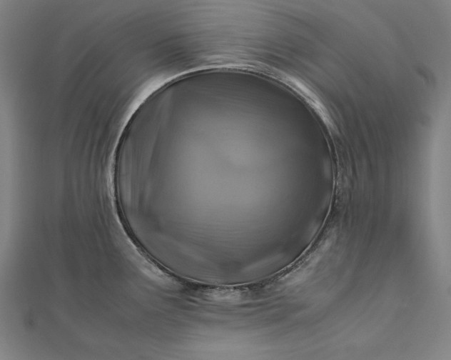 X0000112171291200908211418