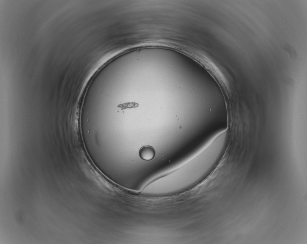 X0000112171292200908211418