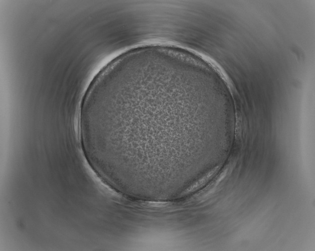 X0000112171295200908211418