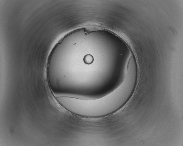 X0000112171296200908211418