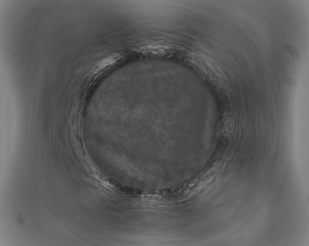 X0000112171297200908211417