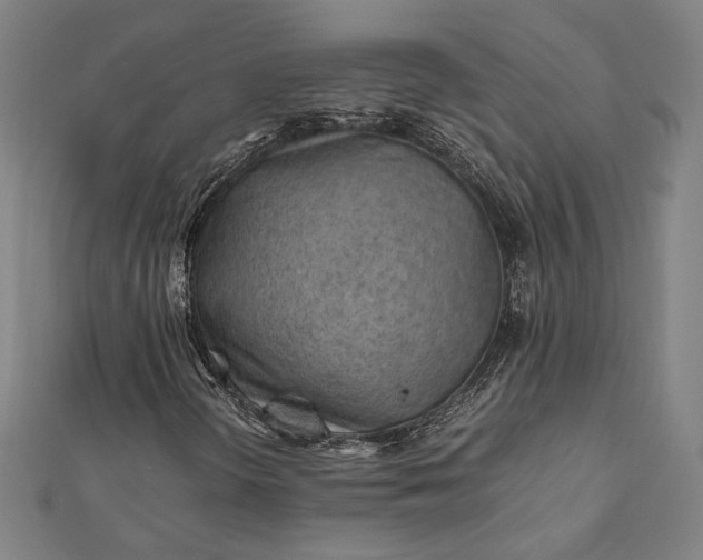 X0000112171298200908211417