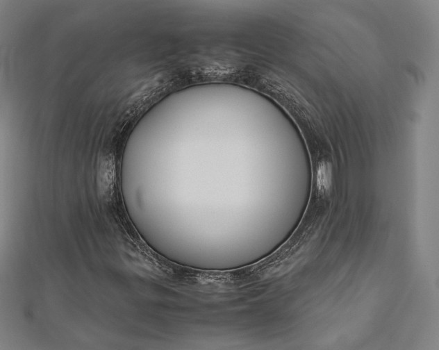 X0000112171299200908211417