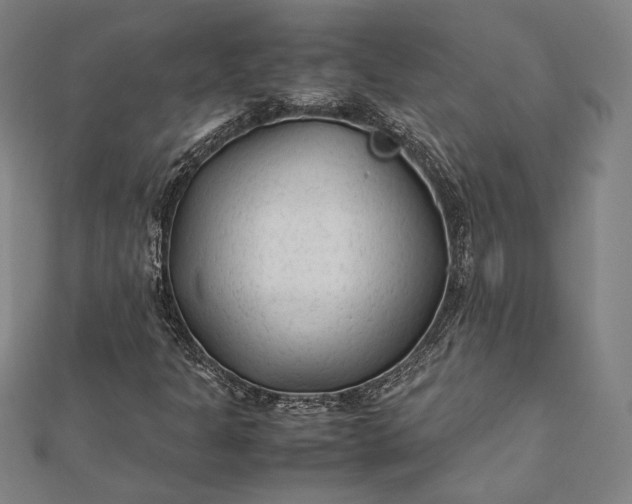 X0000112171301200908211417