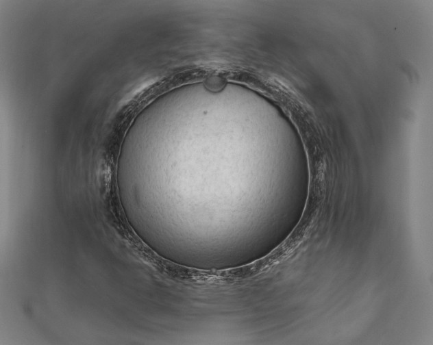 X0000112171302200908211417