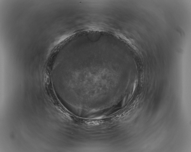 X0000112171303200908211417