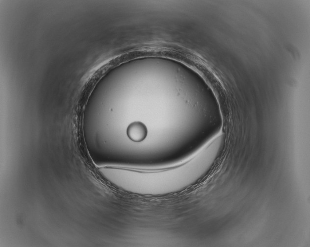 X0000112171304200908211417