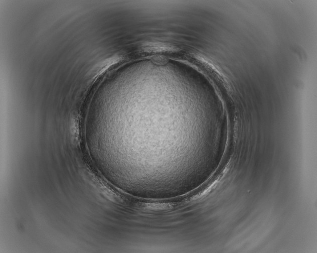 X0000112171305200908211417